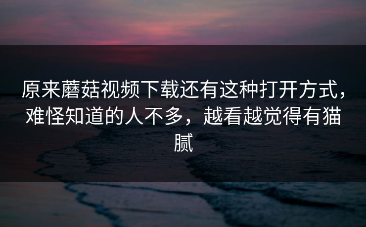 原来蘑菇视频下载还有这种打开方式，难怪知道的人不多，越看越觉得有猫腻