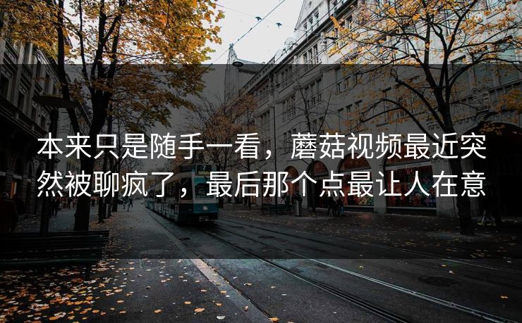 本来只是随手一看，蘑菇视频最近突然被聊疯了，最后那个点最让人在意
