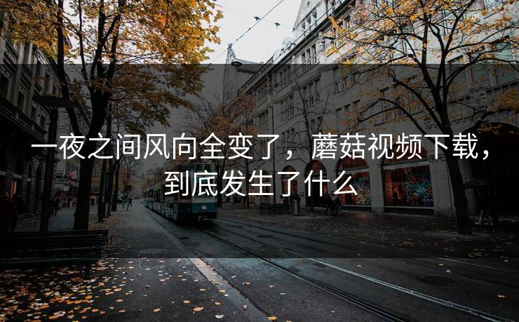 一夜之间风向全变了，蘑菇视频下载，到底发生了什么