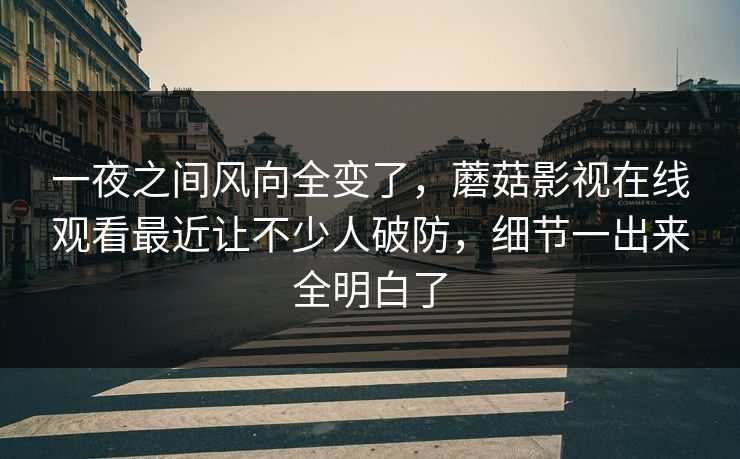 一夜之间风向全变了,蘑菇影视在线观看最近让不少人破防,细节一出来全明白了 一夜之间风向全变了,蘑菇影视在线观看最近让不少人破防,细节一出来全明白了