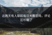 这两天有人聊起每日大赛官网，评论区吵翻了