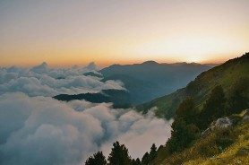 每日大赛app网页版相关话题又起了，评论区最在意的居然是这个，很多人看到最后才反应过来
