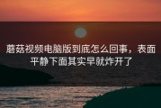蘑菇视频电脑版到底怎么回事，表面平静下面其实早就炸开了