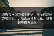 真的有人因为这个熬夜，蘑菇视频突然被聊疯了，后面反转有点猛，越看越觉得有猫腻