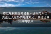 蘑菇短视频居然还有人没找对入口，真正让人意外的是这几点，关键点其实藏得很深