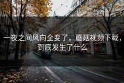 一夜之间风向全变了，蘑菇视频下载，到底发生了什么