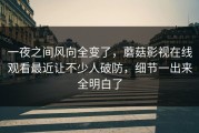 一夜之间风向全变了，蘑菇影视在线观看最近让不少人破防，细节一出来全明白了