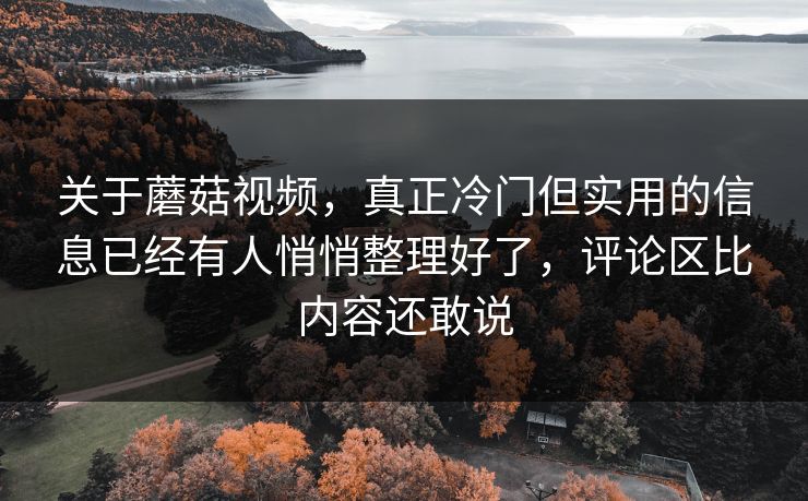 关于蘑菇视频，真正冷门但实用的信息已经有人悄悄整理好了，评论区比内容还敢说
