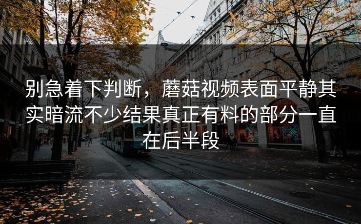 别急着下判断，蘑菇视频表面平静其实暗流不少结果真正有料的部分一直在后半段