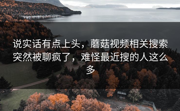 说实话有点上头，蘑菇视频相关搜索突然被聊疯了，难怪最近搜的人这么多