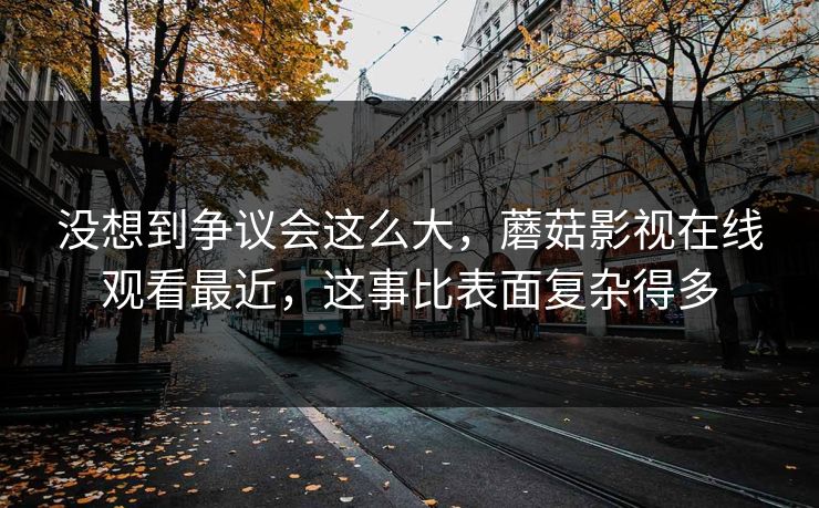 没想到争议会这么大，蘑菇影视在线观看最近，这事比表面复杂得多