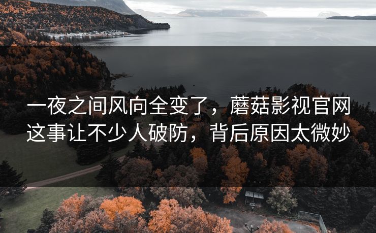 一夜之间风向全变了，蘑菇影视官网这事让不少人破防，背后原因太微妙