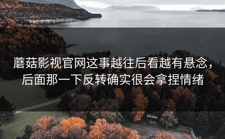 蘑菇影视官网这事越往后看越有悬念,后面那一下反转确实很会拿捏情绪 蘑菇影视官网这事越往后看越有悬念,后面那一下反转确实很会拿捏情绪