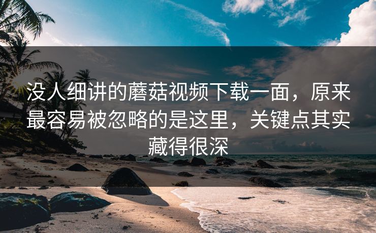 没人细讲的蘑菇视频下载一面，原来最容易被忽略的是这里，关键点其实藏得很深