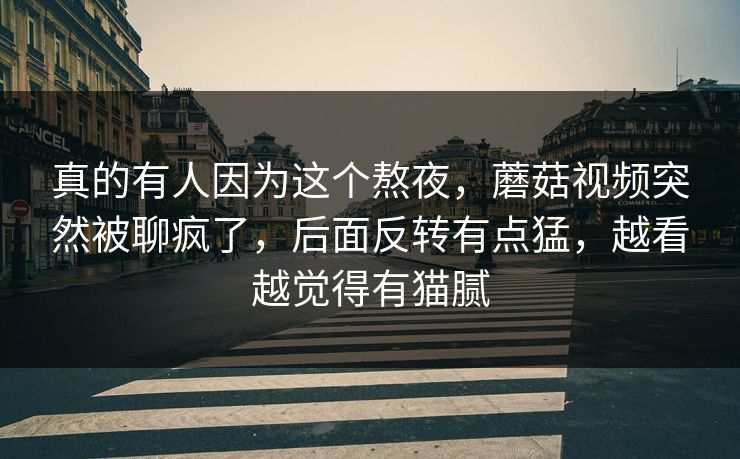 真的有人因为这个熬夜，蘑菇视频突然被聊疯了，后面反转有点猛，越看越觉得有猫腻
