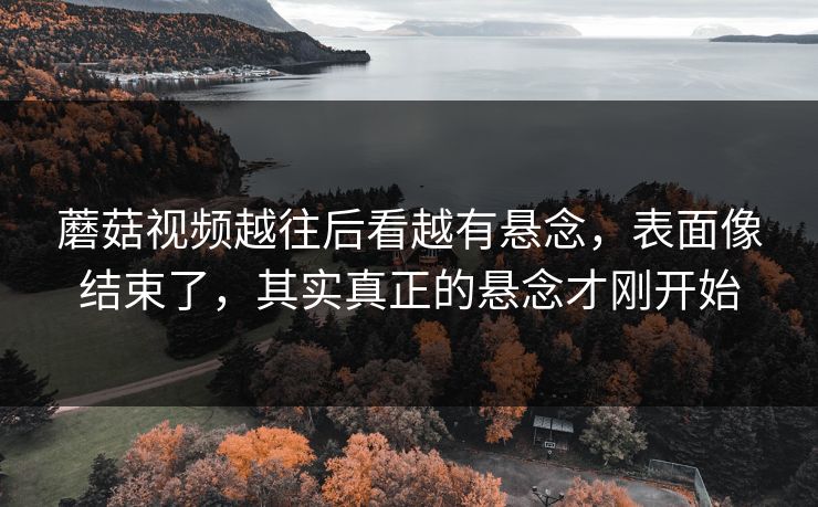蘑菇视频越往后看越有悬念,表面像结束了,其实真正的悬念才刚开始 蘑菇视频越往后看越有悬念,表面像结束了,其实真正的悬念才刚开始